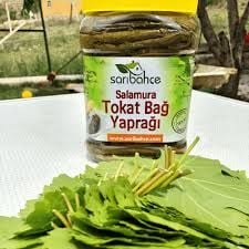 Tokay Erba Yaprağı