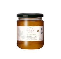 Çam Balı 480g