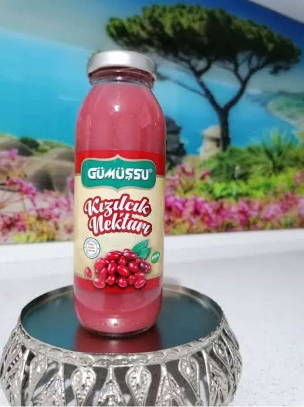 Kızılcık Nektar 250ml